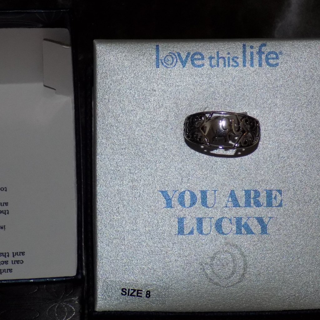 Love This Life You Are Lucky Elephant Silver Ring Size 8 New 50$